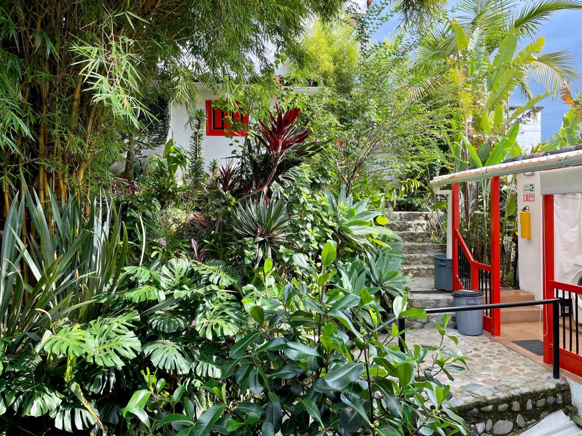 Hostal Tralala سالنتو المظهر الخارجي الصورة